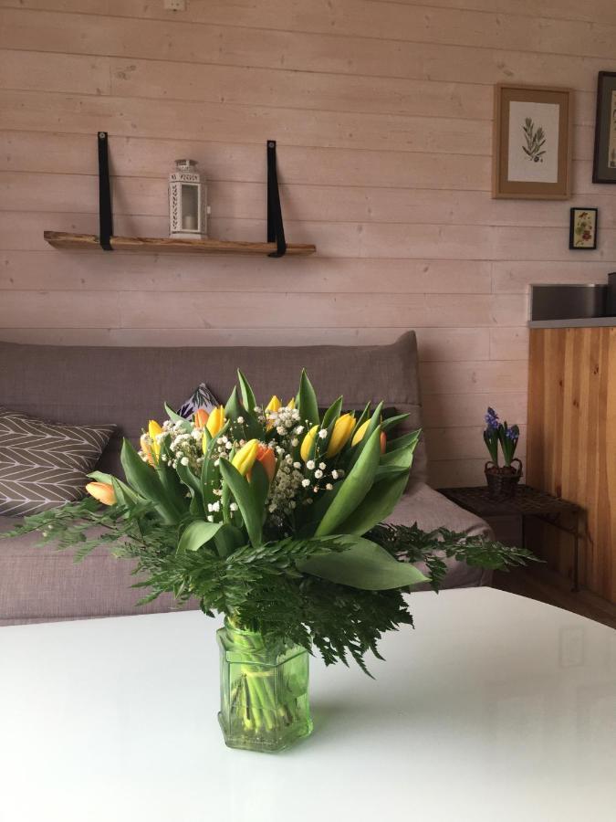 Domaine D'Elusa Вик-Фезенсак Екстериор снимка