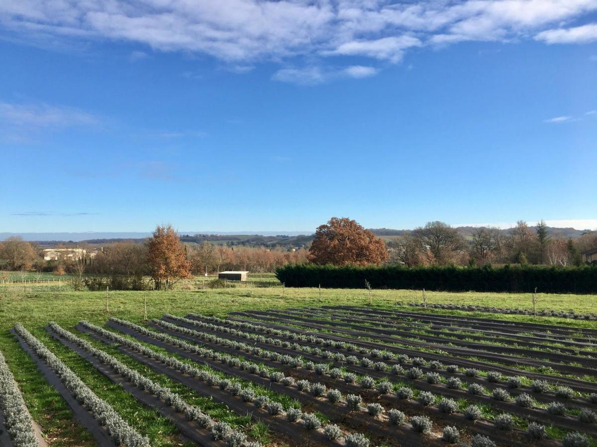 Domaine D'Elusa Вик-Фезенсак Екстериор снимка