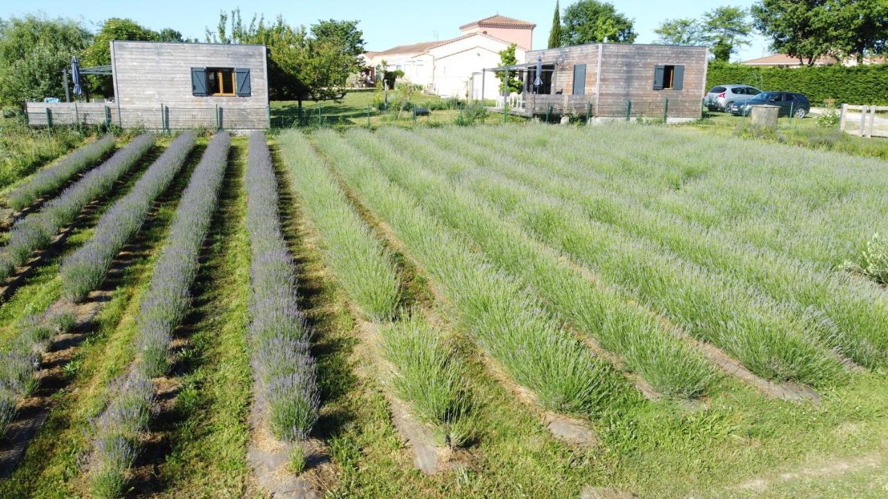 Domaine D'Elusa Вик-Фезенсак Екстериор снимка